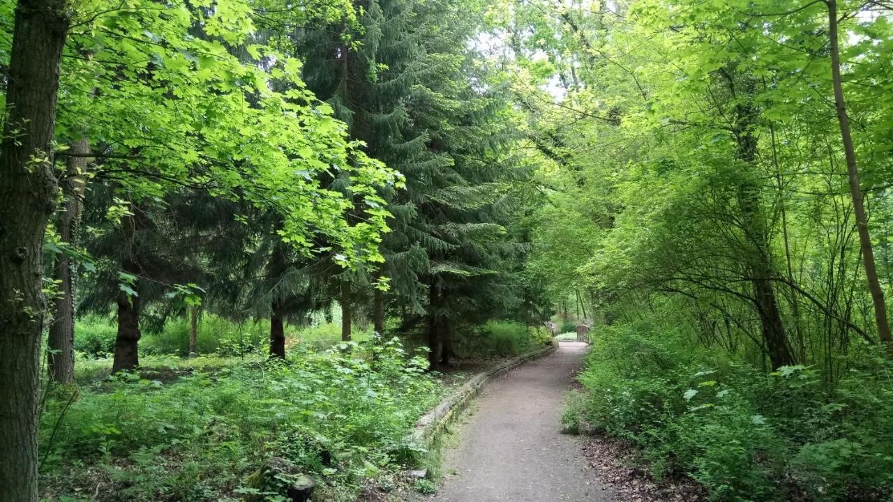 Apartment Haus Waldidyll